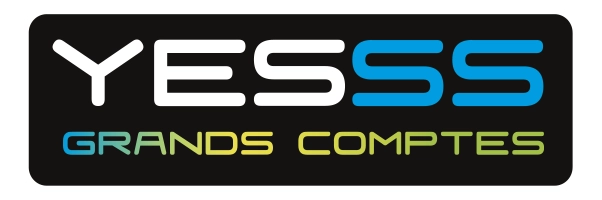 yesss-grands-comptes