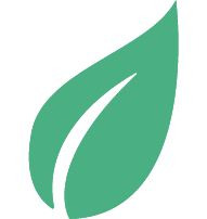 feuille-P1